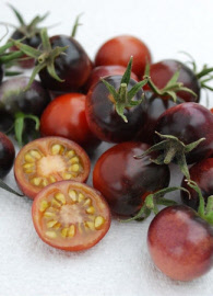 tomatilloblueberries