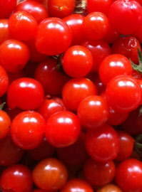 tomatoaperitif