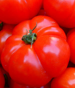 tomatogiantbelgium