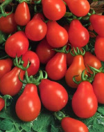 tomatoredpear